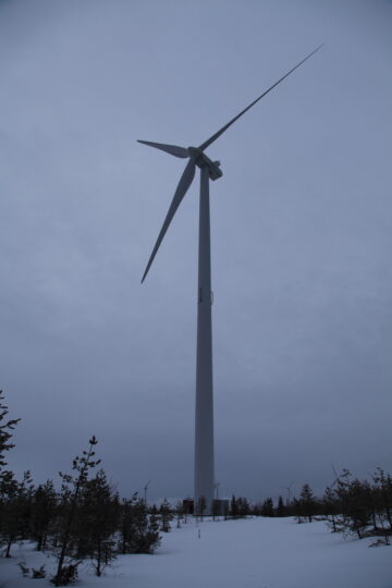 Windmill1_8